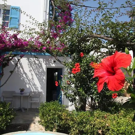 Blue Sky 3* Γαλησσάς